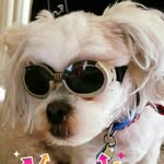 Cody Gross - @codygross0324 - Instagram