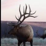 Cody Guffey - @codyguffey20 - Instagram