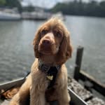 Cody Carter-Hadley - @sweetllifeofcody - Instagram