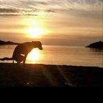 Cody Hadley - @bowhunter1950_ - Instagram