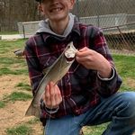 Cody Hammer - @codyhammer9 - Instagram