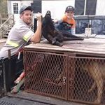 Cody Hatfield - @hatfield7396 - Instagram