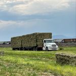 Cody Heath - @knoll_ranch_hay_sales_ - Instagram