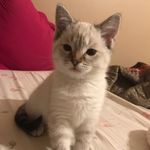 Cody Helton - @cody_helton24 - Instagram