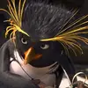 Cody Hewitt - @cody.hewitt09 - TikTok