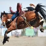 Cody Higgins - @cody__higgins - Instagram