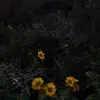 codyhorton87 - @codyhorton87 - TikTok