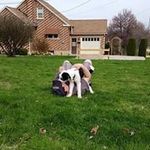 Cody Houck - @hou_could_he_do_it - Instagram