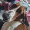 Cody Jack - @cody.jack8 - TikTok