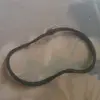 Cody Jarrett - @cody.jarrett4 - TikTok