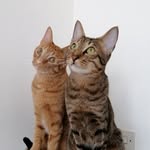 Cody & Jasper - @codyjasper2021 - Instagram