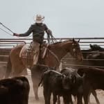 Cody Johansen - @johansen_ranch_horses - Instagram