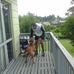 Cody Kereopa Joss - Facebook