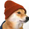 codykamp846 - @codykamp846 - TikTok