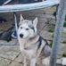 Cody Kelly - Facebook