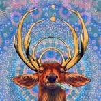 Cody Kent - Facebook