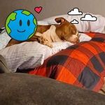 Cody Kidder - @mr.kidder17 - Instagram