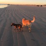 cody kitchen - @kitchen002 - Instagram