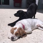 Cody & Lacy - @codyandlacy - Instagram