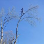 Cody Landers - @cody.landers.779 - Instagram