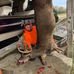 Cody Laws - Facebook
