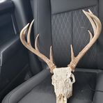 Cody Lay - Facebook