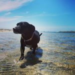 Cody Ledbetter - @c0disius - Instagram
