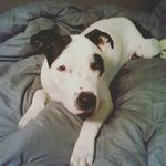 Cody Ledbetter - @ledbetter_cody - Instagram