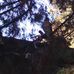 Cody Ledbetter - Facebook
