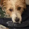 Cody Leigh - @cody.leigh3 - TikTok