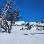 Cody Lever - @cody.lever07 - Instagram