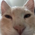 Cody Lin - Facebook
