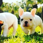 codyline - @codyline8069 - Instagram