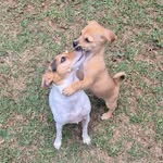 Cody & Chase - @cody.lovesthe.chase - Instagram