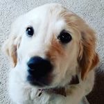 Cody lockett - @cody.2717 - Instagram