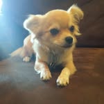Cody - @cody.longbottom - Instagram