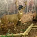 Cody Luttrell - Facebook