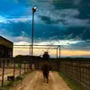Cody Luttrell - @codyluttrell0 - TikTok