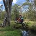 Cody Lyon - Facebook