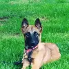 Cody Maher - @1take._60 - TikTok