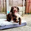 cody marlow - @cody.marlow8 - TikTok