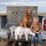Cody Marshall - @cody_marshall - Instagram
