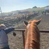 Cody Marshall - @krewracer12 - TikTok