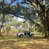 CodyyMason - @codyymason - TikTok