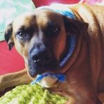 Cody Mathews - @cody_mathews1 - Instagram