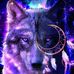 Cody Mattson - Facebook