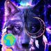Cody Mattson - Facebook