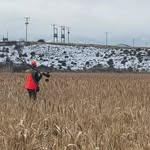 cody mattson - @cody_m_14 - Instagram