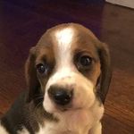 Max - @cody__max - Instagram