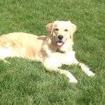 @cody_max_ - Instagram